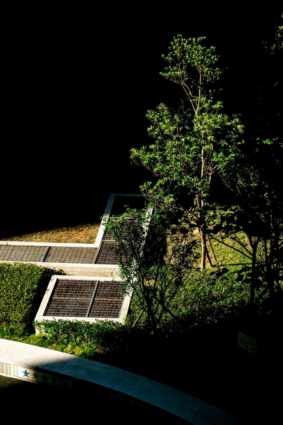 Green roof